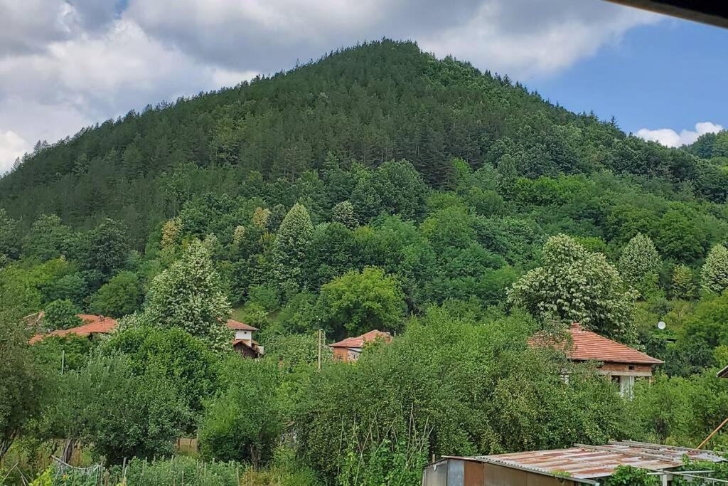 Villa Двете Къщи В Планината Beli Osŭm Exterior foto